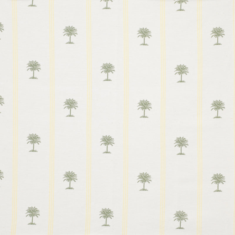 Palm Stripe - Manteiga